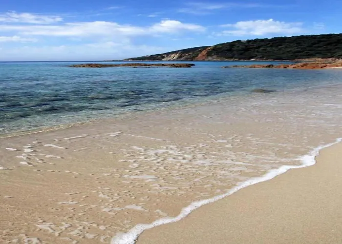 Cosy In Corse-du-sud Near Sea *