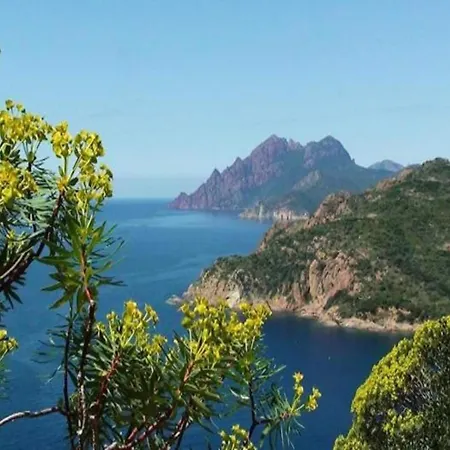 Semesterbostad Cosy In Corse-du-sud Near Sea *