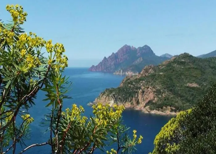 Ferienhaus Cosy In Corse-du-sud Near Sea *